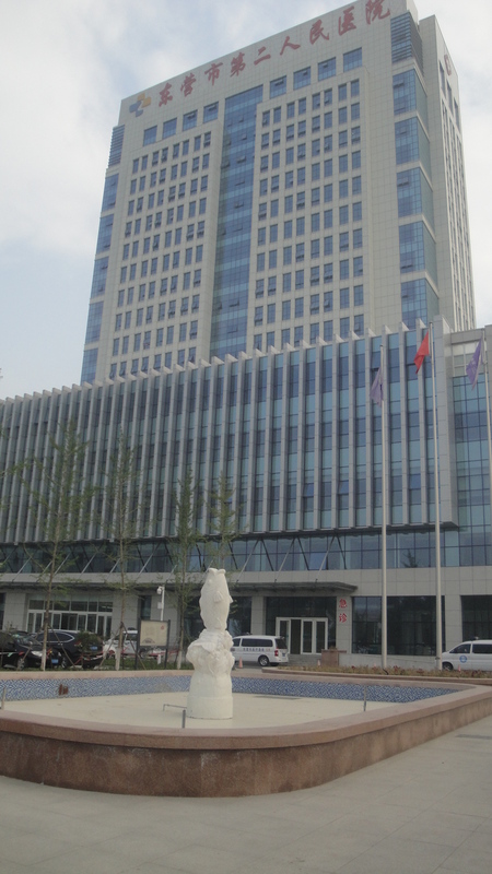 东营市第二人民医院综合楼工程.JPG